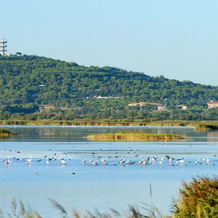 Le Sunset-cap Sud-26 By Interhome