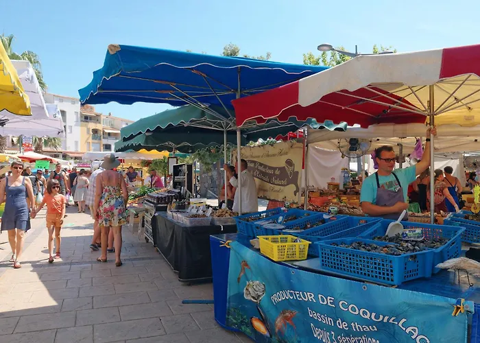 Le Sunset-cap Sud-26 By Interhome Appartamento Agde